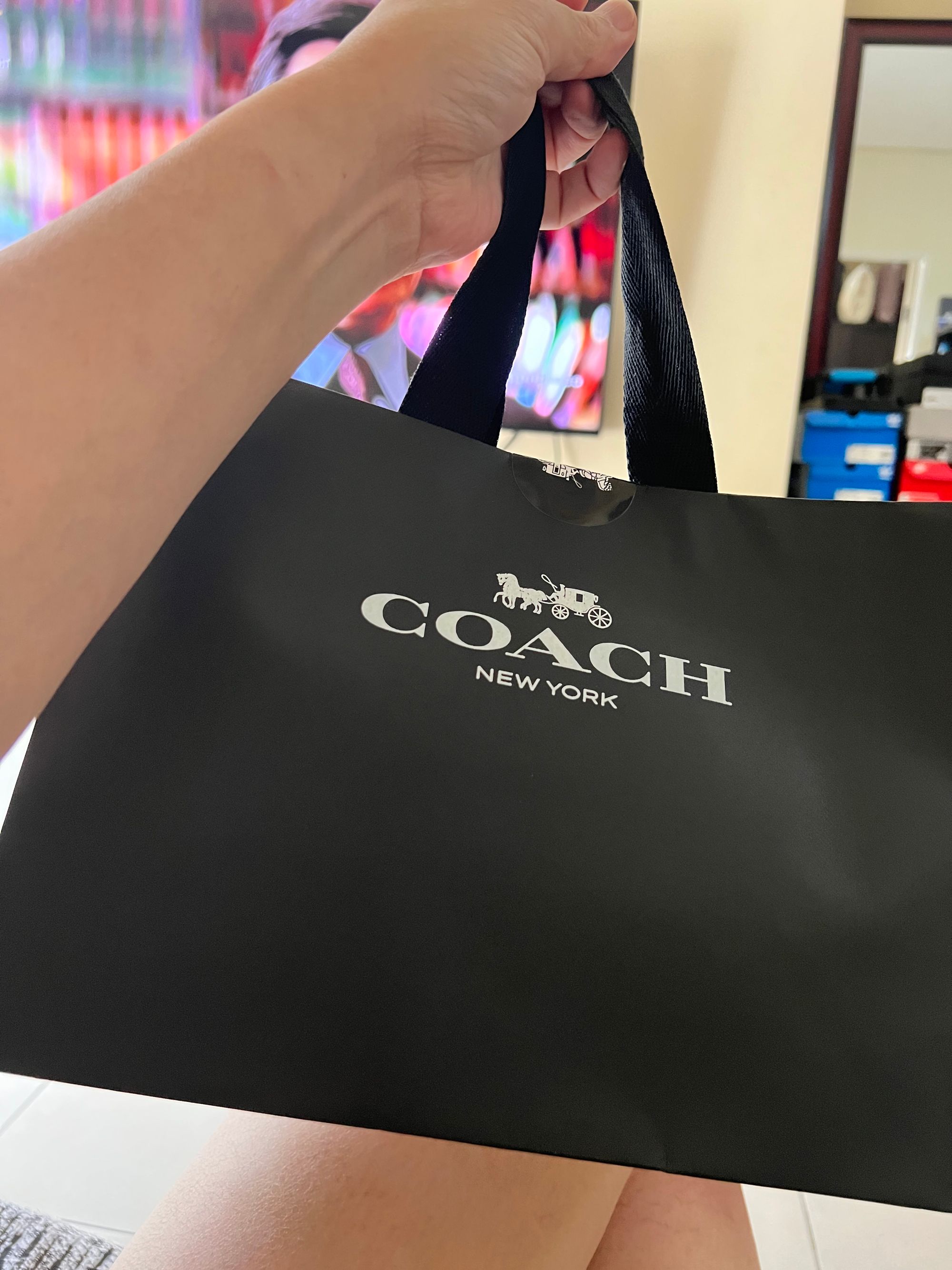 Embracing Elegance: My Journey with Coach, the Accessible Luxury Brand